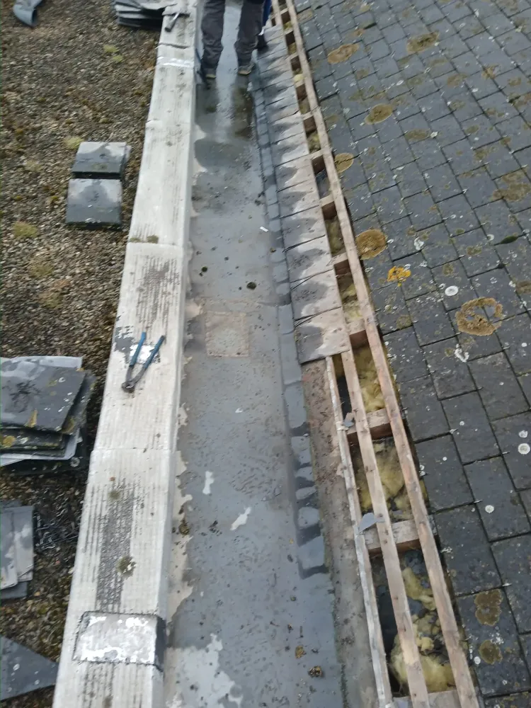 Remplacement de cheneaux en zinc - avant